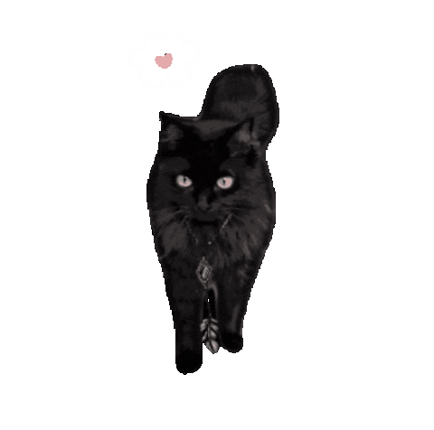 Cat Love Sticker by Tikicraft
