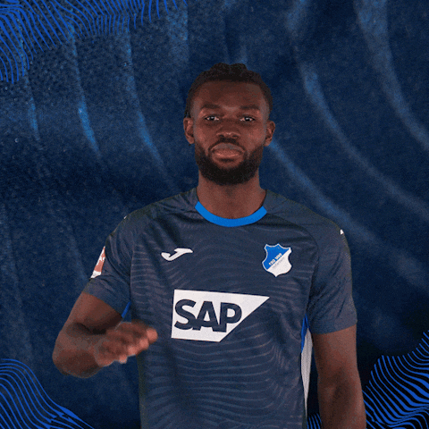 Sport Bundesliga GIF by TSG Hoffenheim