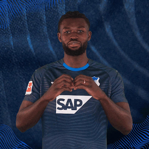 Sport Bundesliga GIF by TSG Hoffenheim