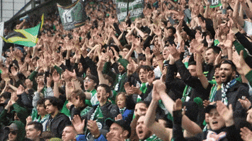 Geoffroy-Guichard Fans GIF by AS Saint-Étienne