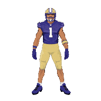 Washington Huskies Football Sticker by Panini America
