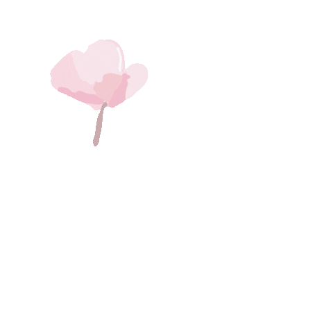 Cherry Blossoms Pink Sticker by By Invite Only
