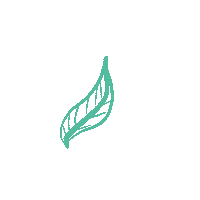 Leaf Sticker