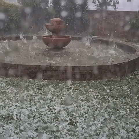 Cricket Ball–Sized Hail Pounds Middelburg, South Africa
