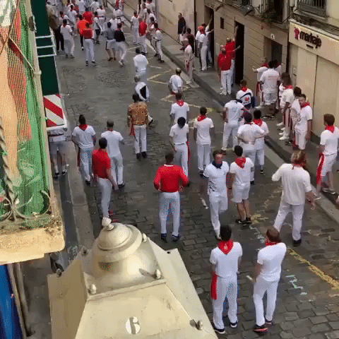 Bulls Take Off on Second Day of Pamplona Festival