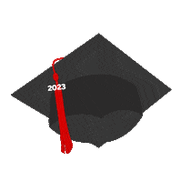 Ut Austin Graduation Sticker by Moody College of Communication
