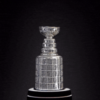 Stanley Cup Winner 2024 - The Florida Panthers