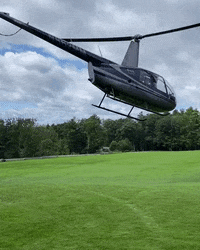Fly Flying GIF