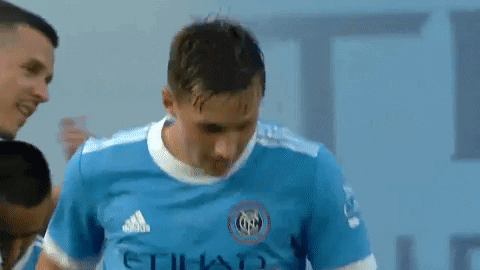 Major League Soccer Reaction GIF by NYCFC