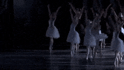 nycballet dance ballet nycb new york city ballet GIF