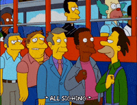 episode 12 principle skinner GIF