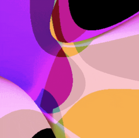 giphyforyou  GIF