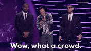Wow What A Crowd GIF by The Game Awards