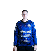 hollenstedt-handball ball handball gehalten hollenstedt Sticker