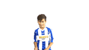 Happy Blauwwit Sticker by Voetbalvereniging Scherpenzeel
