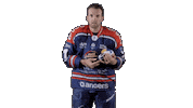 Ducs Dangers Hockey Sticker by Les Ducs d'Angers