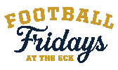 Notre Dame Nd Football Sticker by University of Notre Dame