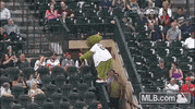 mascot hou GIF by MLB