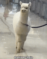 Shopping Falling GIF