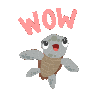 Sea Turtle Wow Sticker by Anak Rimba Books