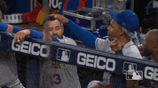 Ny Mets Baseball GIF by New York Mets