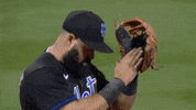 Happy Ny Mets GIF by New York Mets