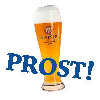 Summer Beer Sticker by steinerbier