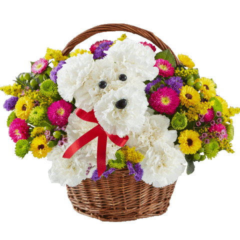 happy teddy bear Sticker by 1800flowers