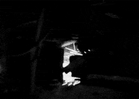 tetsuo the iron man shin'ya tsukamoto GIF by Maudit
