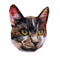 art__by__rey art abstract kitty pet Sticker