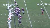 Nfl Football GIF by New England Patriots