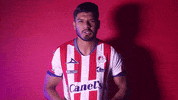 Sanluis Adsl GIF by Atlético de San Luis