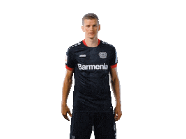 Oh No Facepalm Sticker by Bayer 04 Leverkusen