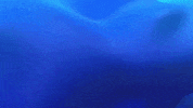 GIF by Trakto