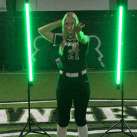 Parkside Softball GIF by Parkside Athletics
