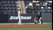 GIF by Area Code Baseball