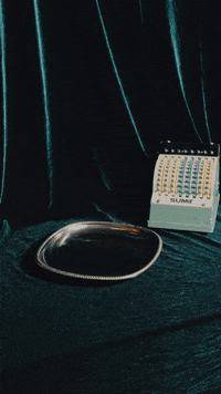 GIF by SALT STUDIO