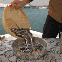 Forget Omega 3 GIF by TRT