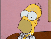 homer simpson GIF