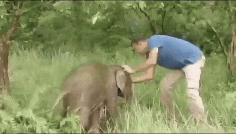 uuusssuuu giphyupload GIF
