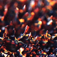 Loop Relaxing GIF by xponentialdesign