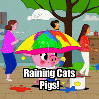 City Life Summer GIF by The Pigasso