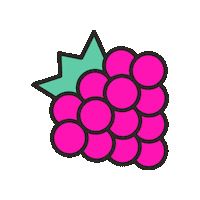 maevechocolate fruit berry raspberry berries Sticker