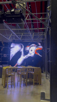 Animation Bird GIF by Alex Boya