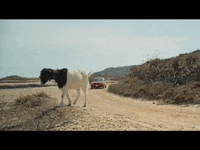 Car Driving GIF by VVS FILMS