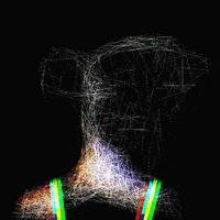 LineApeClub obscure line ape club obscure prints line apes GIF