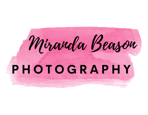 MirandaBeasonPhotography giphyupload photography mirandabeasonphotography mirandabeasonphoto Sticker
