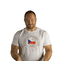 Czech Republic Facepalm Sticker by Český olympijský tým