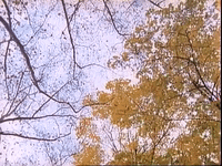 episode 5 specials GIF