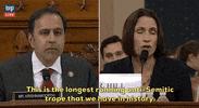 news impeachment impeachment inquiry fiona hill GIF